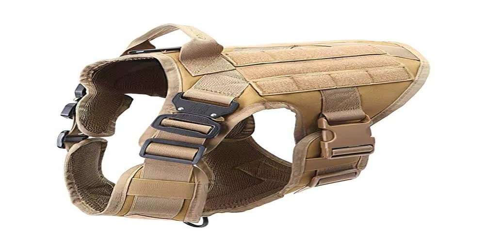 The Essential Guide to Great Dane Harnesses