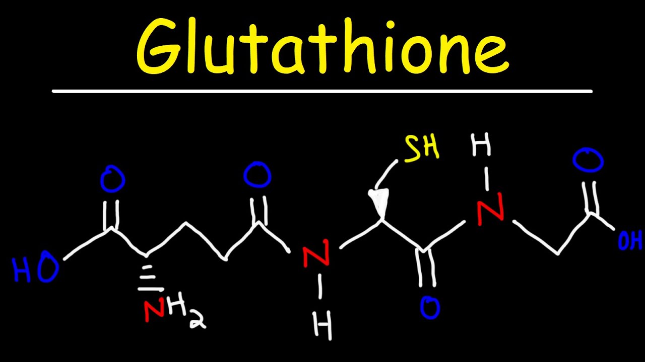 What Is Glutathione Powder? A Complete Beginner’s Guide