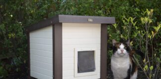 Amazing Benefits of Waterproof Outdoor Cat House