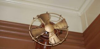 Wall Fans vs. Ceiling Fans: Which is Best for Your Home?