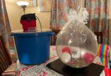 What Are The factors to consider when purchasing a balloon stuffing machine