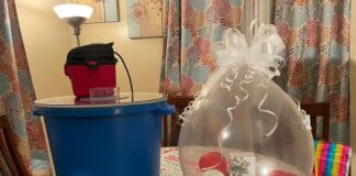 What Are The factors to consider when purchasing a balloon stuffing machine