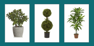 Quality Artificial Plants from China: Get Versatile Units at Affordable Prices